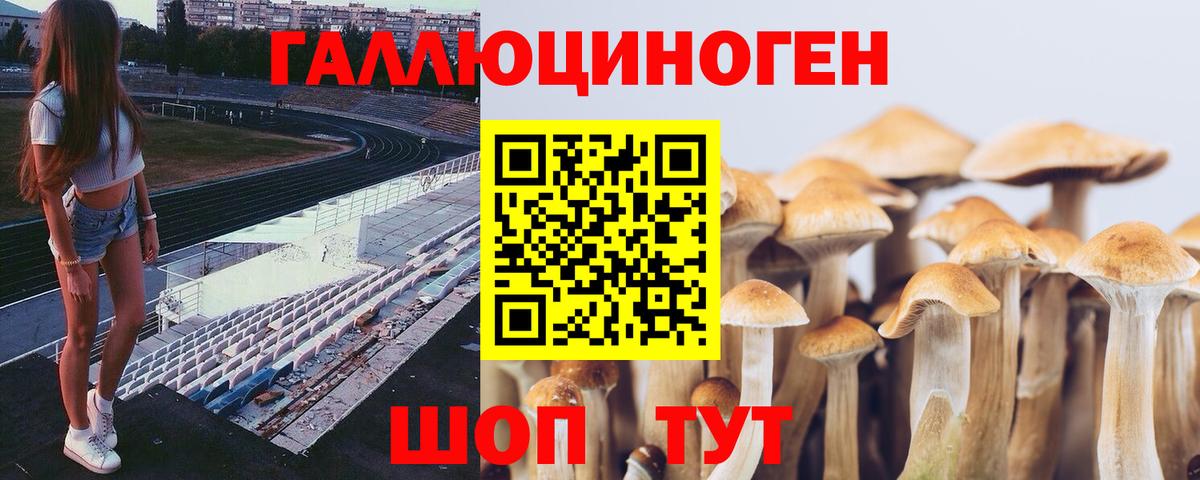 Галлюциногенные грибы ЛСД Октябрьский